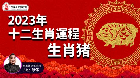 生肖豬2023|解析2023生肖運勢！屬羊、猴、豬和狗請把握兔年最。